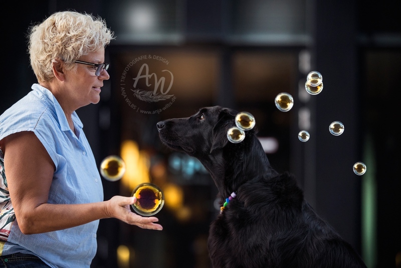Anja-Wilbs-Tierfotografie_Flat-Coated-Retriever_1