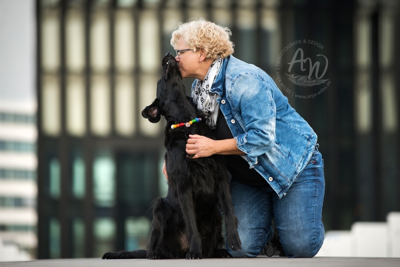 Anja-Wilbs-Tierfotografie_Flat-Coated-Retriever_10