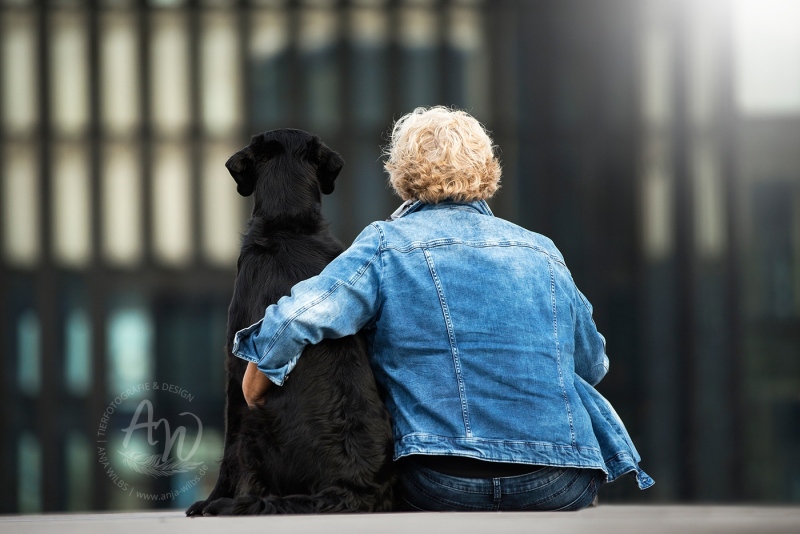Anja-Wilbs-Tierfotografie_Flat-Coated-Retriever_11