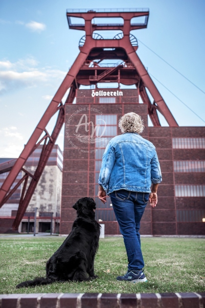 Anja-Wilbs-Tierfotografie_Flat-Coated-Retriever_13