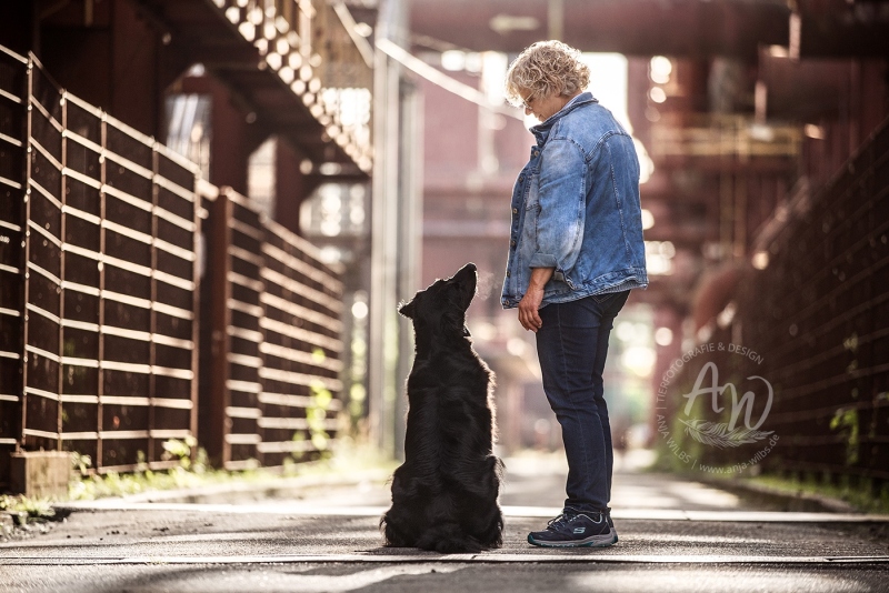 Anja-Wilbs-Tierfotografie_Flat-Coated-Retriever_14