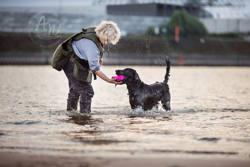 Anja-Wilbs-Tierfotografie_Flat-Coated-Retriever_3