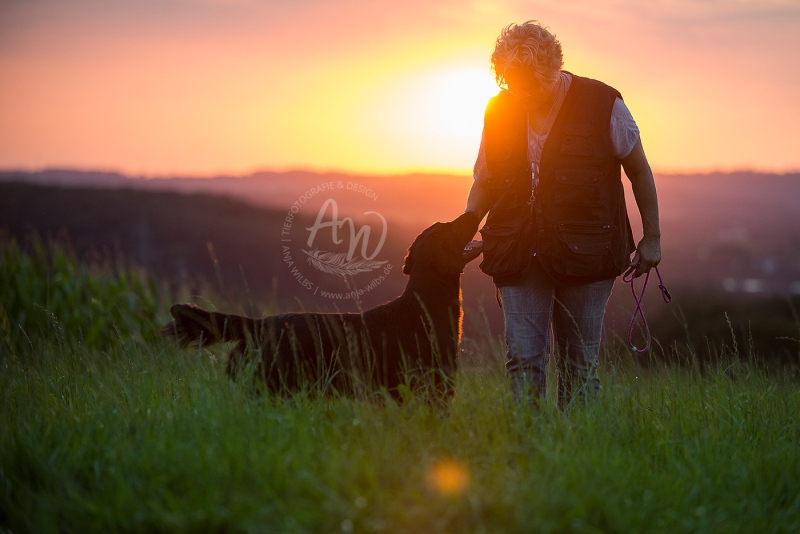 Anja-Wilbs-Tierfotografie_Flat-Coated-Retriever_4