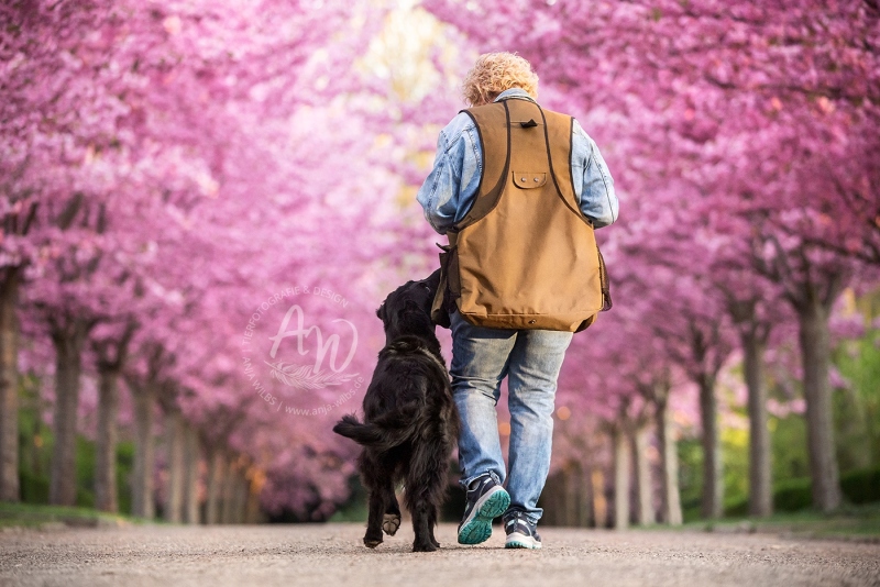 Anja-Wilbs-Tierfotografie_Flat-Coated-Retriever_5