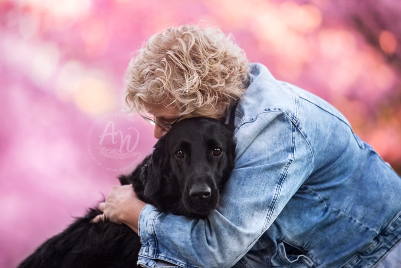 Anja-Wilbs-Tierfotografie_Flat-Coated-Retriever_6