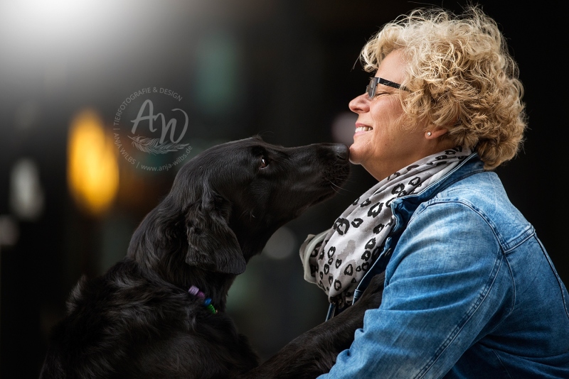 Anja-Wilbs-Tierfotografie_Flat-Coated-Retriever_9