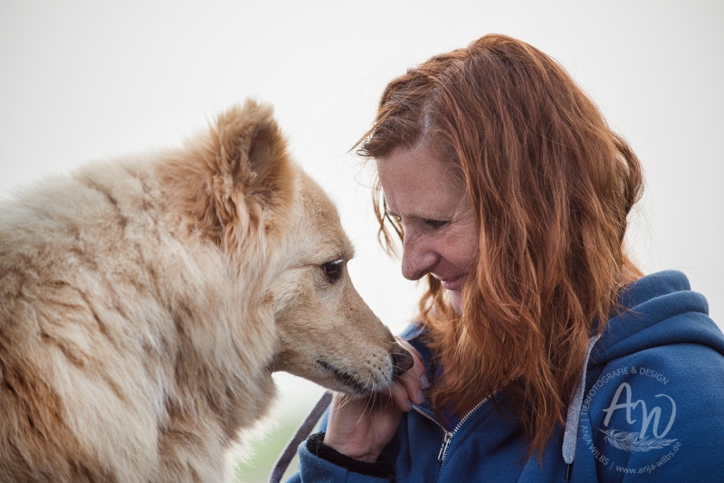 Anja-Wilbs-Tierfotografie_Tierschutzhund_14