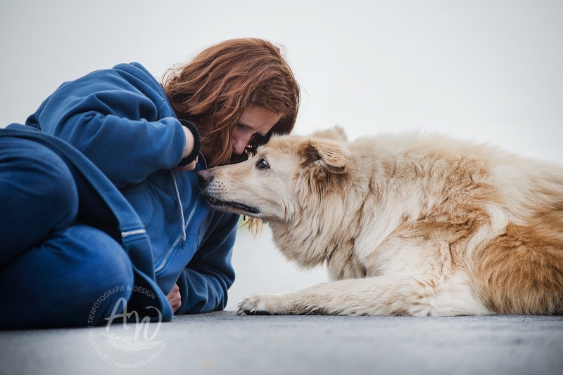 Anja-Wilbs-Tierfotografie_Tierschutzhund_15