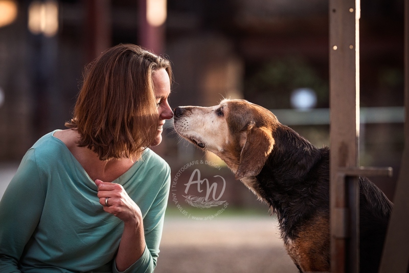 Anja-Wilbs-Tierfotografie_Tierschutzhund_8