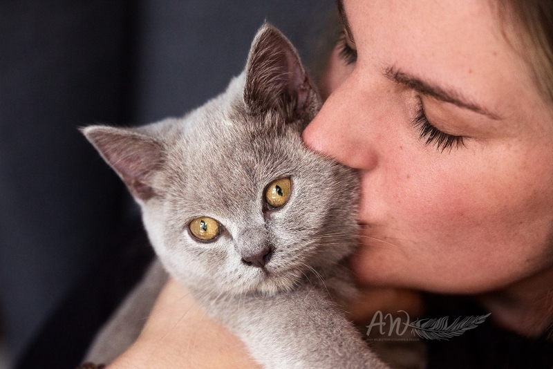 Anja-Wilbs-Tierfotografie_BKH_Katze-mit-Frau_1