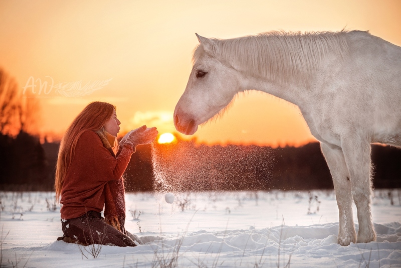 Anja-Wilbs-Tierfotografie_Pferd_Frau_4