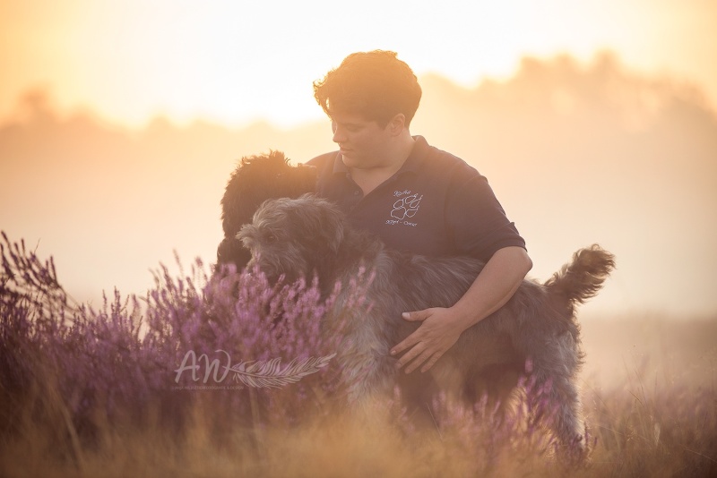 DSC_3729_homepage