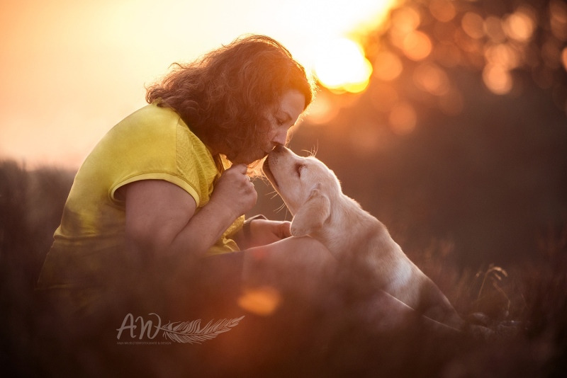 DSC_5474_Homepage