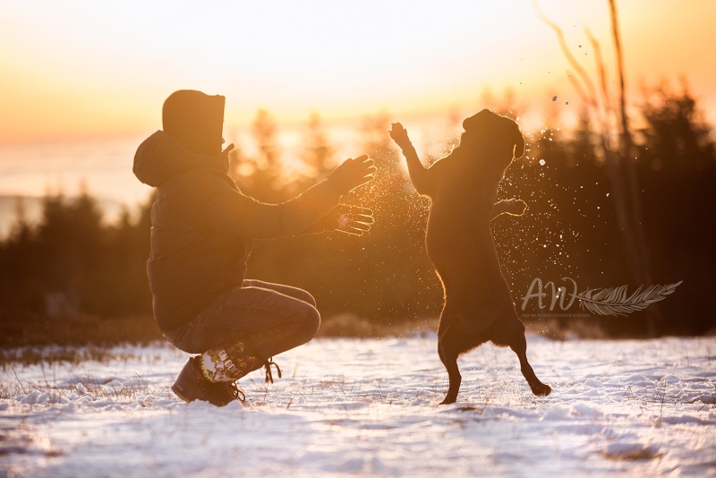 DSC_7214_homepage