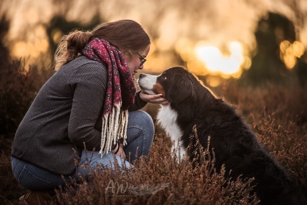 Berner Sennenhunde vom Ruhrwäldchen