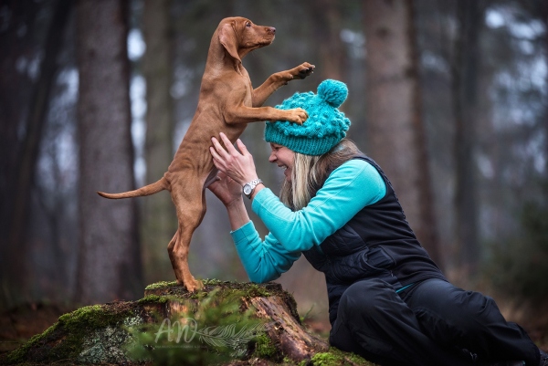 Teamschmiede Tiemann