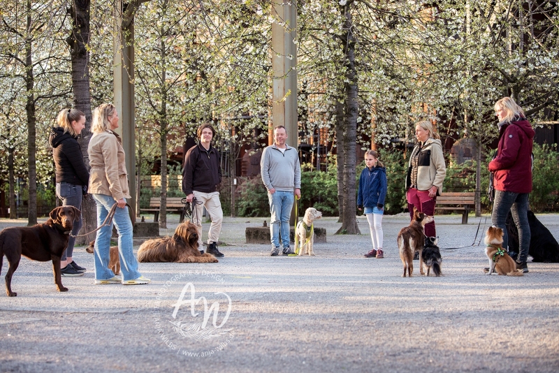 Anja-Wilbs-Tierfotografie_Hundeverhaltensberatung-Sabine-Sucke_2
