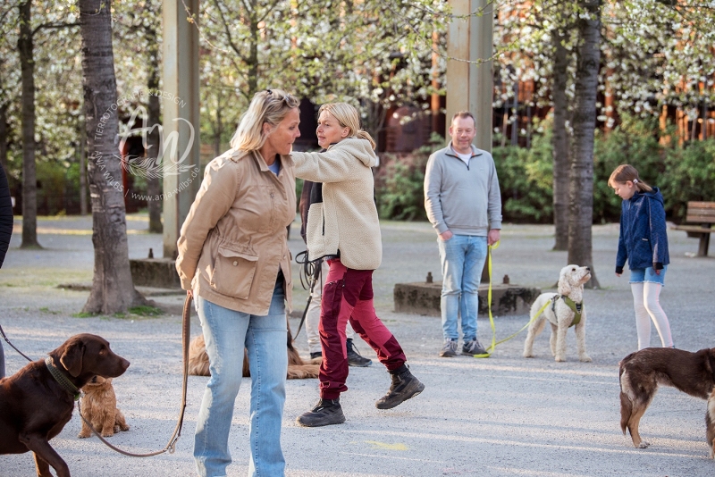 Anja-Wilbs-Tierfotografie_Hundeverhaltensberatung-Sabine-Sucke_3