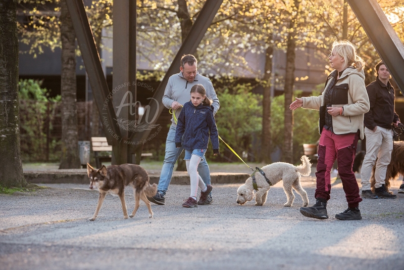 Anja-Wilbs-Tierfotografie_Hundeverhaltensberatung-Sabine-Sucke_4