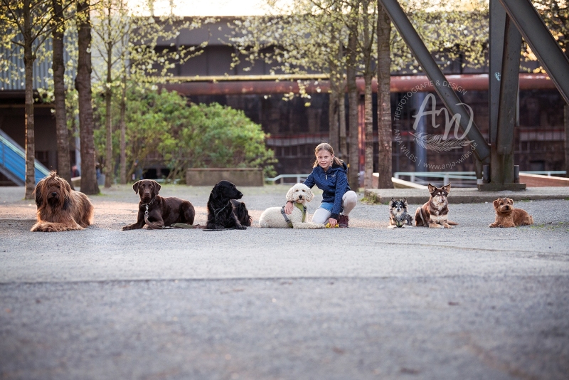 Anja-Wilbs-Tierfotografie_Hundeverhaltensberatung-Sabine-Sucke_5