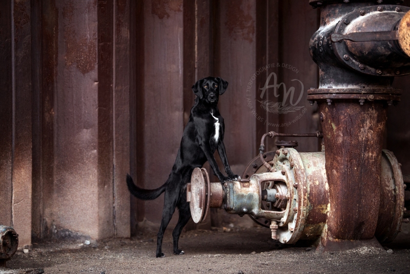 DSC_6563_FB