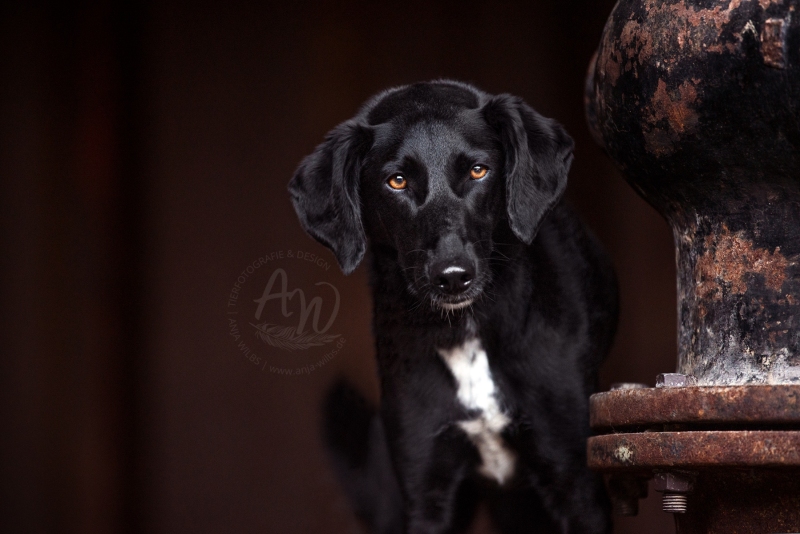 DSC_6589_FB