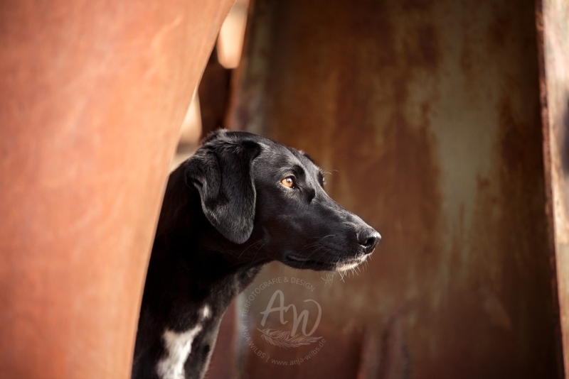 DSC_6599_FB