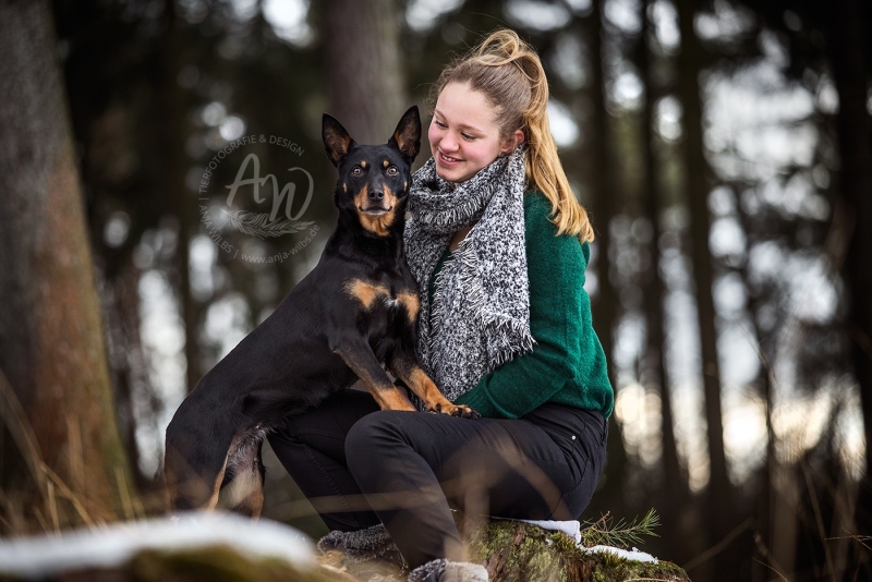 Anja-Wilbs-Tierfotografie_Kelpie_3