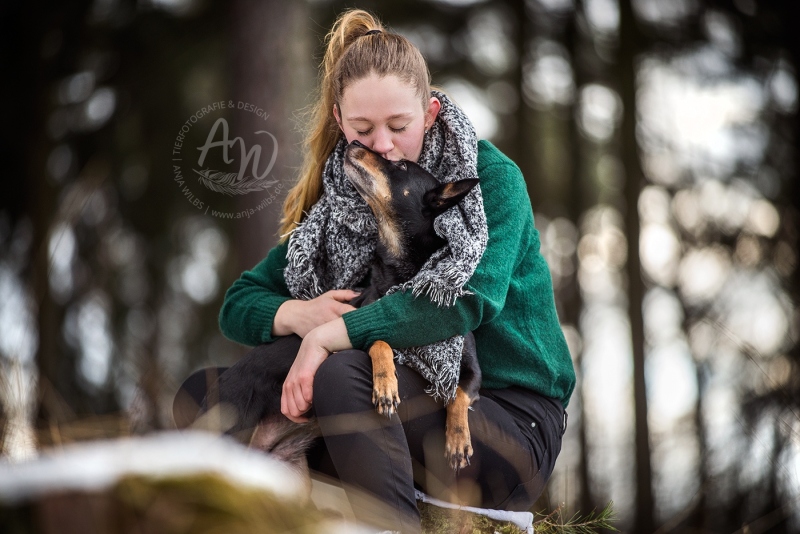 Anja-Wilbs-Tierfotografie_Kelpie_4