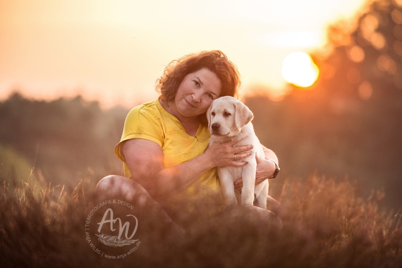 Anja-Wilbs-Tierfotografie_Labradorwelpe_3
