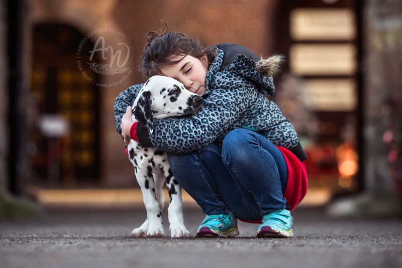 Anja-Wilbs-Tierfotografie_Kind-mit-Dalmatinerwelpe_2