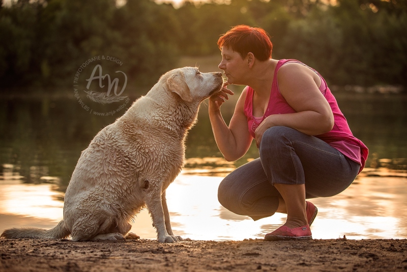 Anja-Wilbs-Tierfotografie_Labrador_1