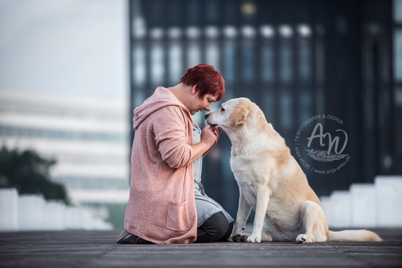 Anja-Wilbs-Tierfotografie_Labrador_10