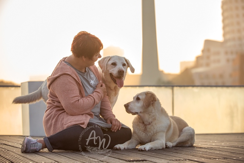 Anja-Wilbs-Tierfotografie_Labrador_12