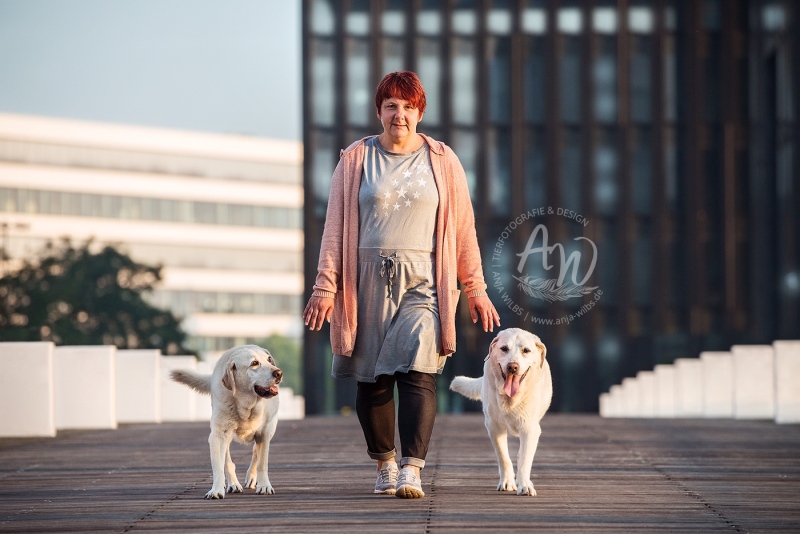 Anja-Wilbs-Tierfotografie_Labrador_13