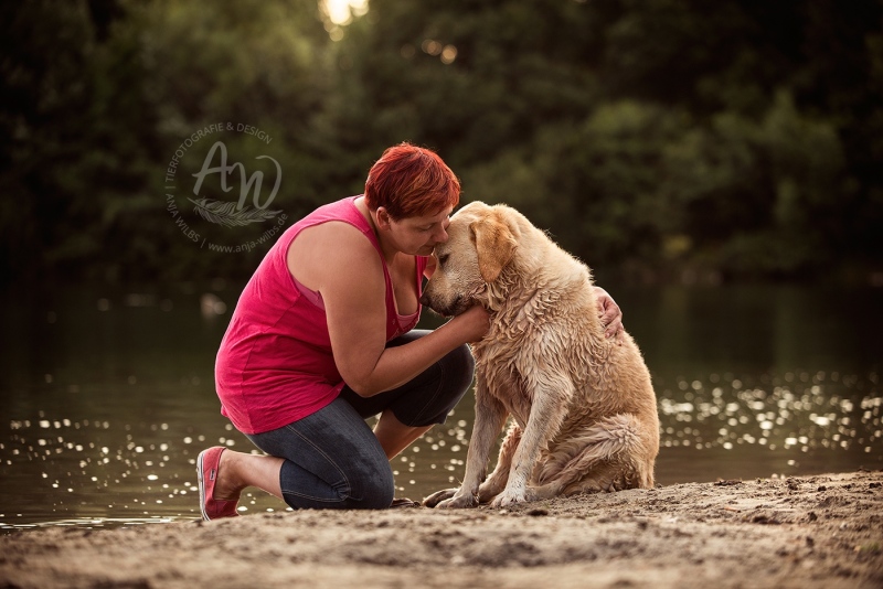 Anja-Wilbs-Tierfotografie_Labrador_4