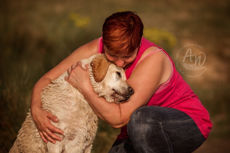 Anja-Wilbs-Tierfotografie_Labrador_7