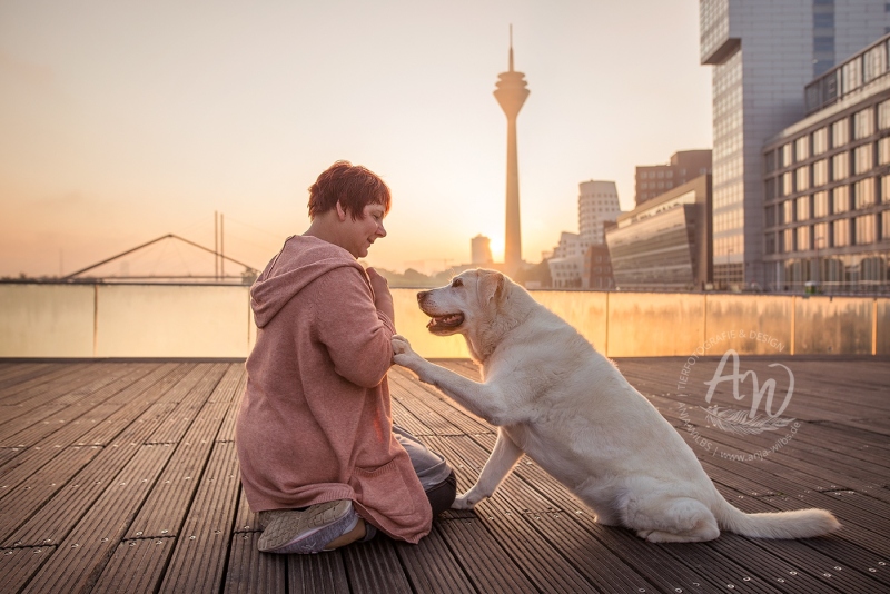 Anja-Wilbs-Tierfotografie_Labrador_8
