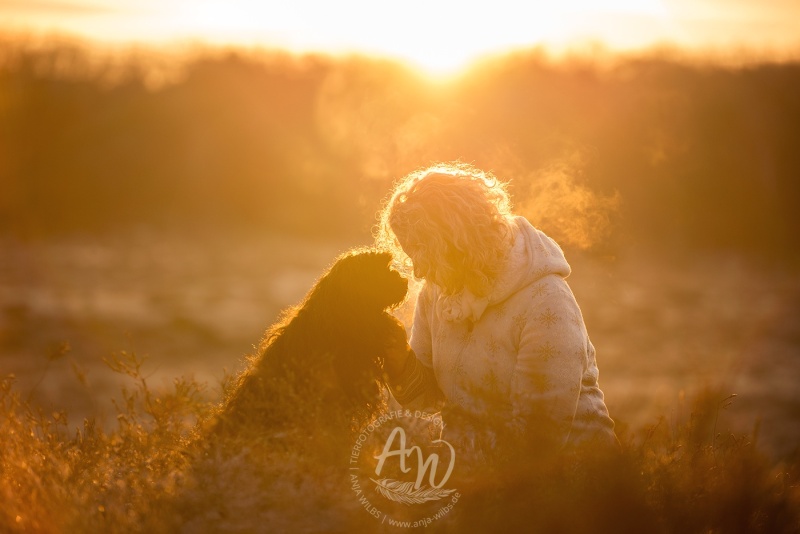 Anja-Wilbs-Tierfotografie_Hund-und-Mensch-Sonnenaufgang_5