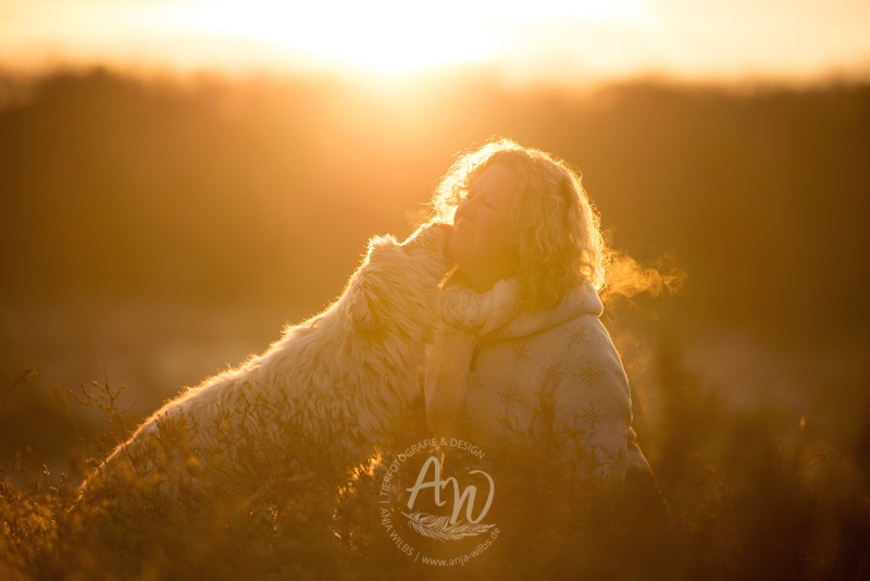 Anja-Wilbs-Tierfotografie_Hund-und-Mensch-Sonnenaufgang_6