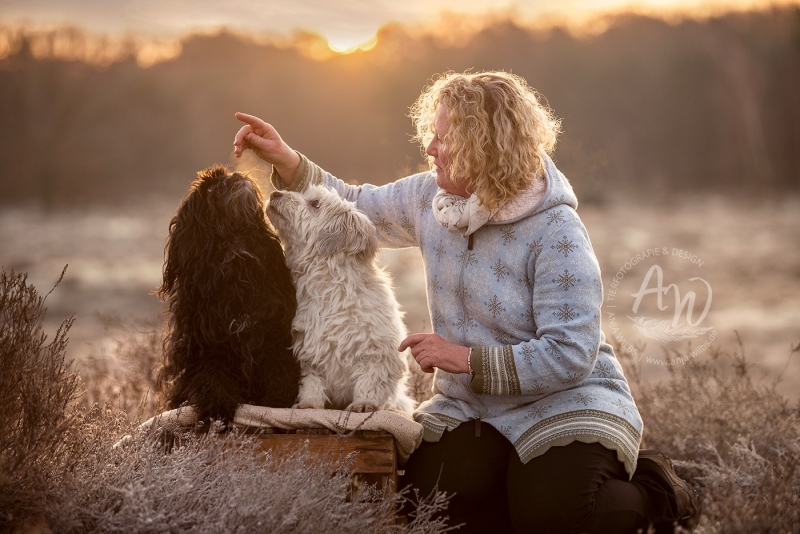 Anja-Wilbs-Tierfotografie_Hunde-Sonnenaufgang_4