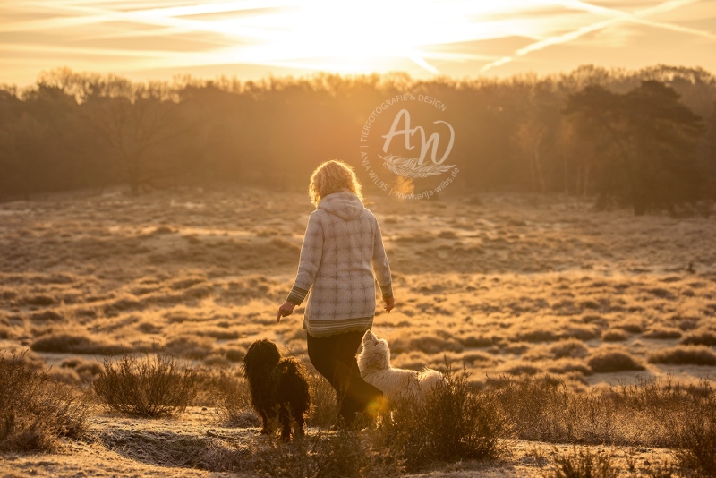 Anja-Wilbs-Tierfotografie_Hunde-und-Mensch-Sonnenaufgang_8