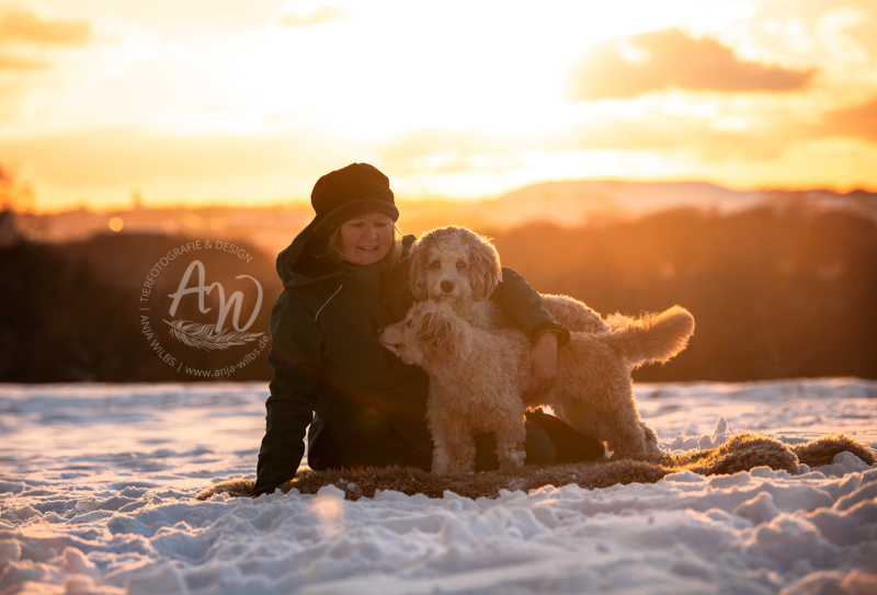 ANJA-WILBS_Tierfotografie_Schneebild_17