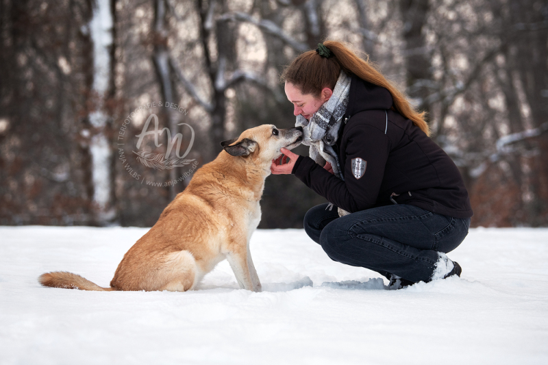 ANJA-WILBS_Tierfotografie_Schneebild_21