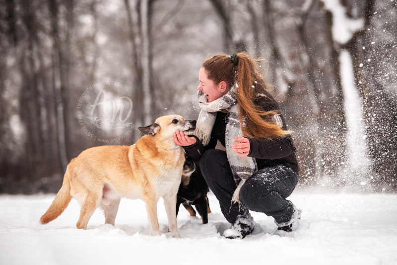 ANJA-WILBS_Tierfotografie_Schneebild_25