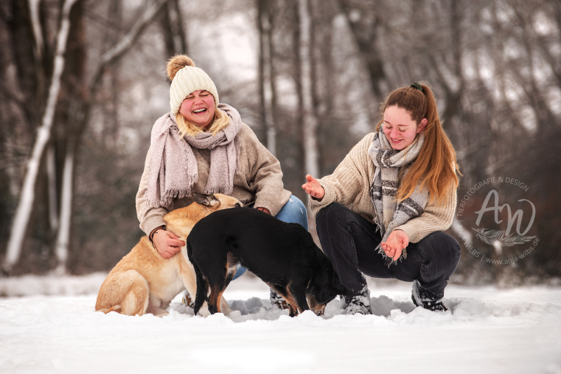 ANJA-WILBS_Tierfotografie_Schneebild_28