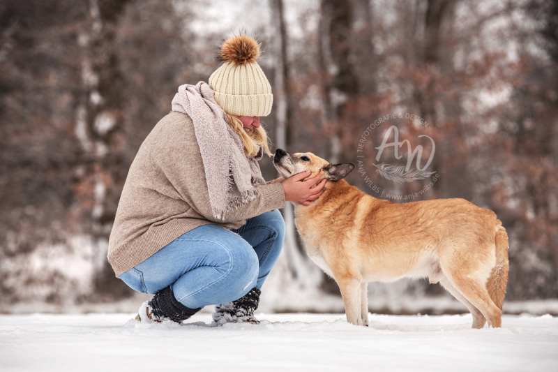 ANJA-WILBS_Tierfotografie_Schneebild_29