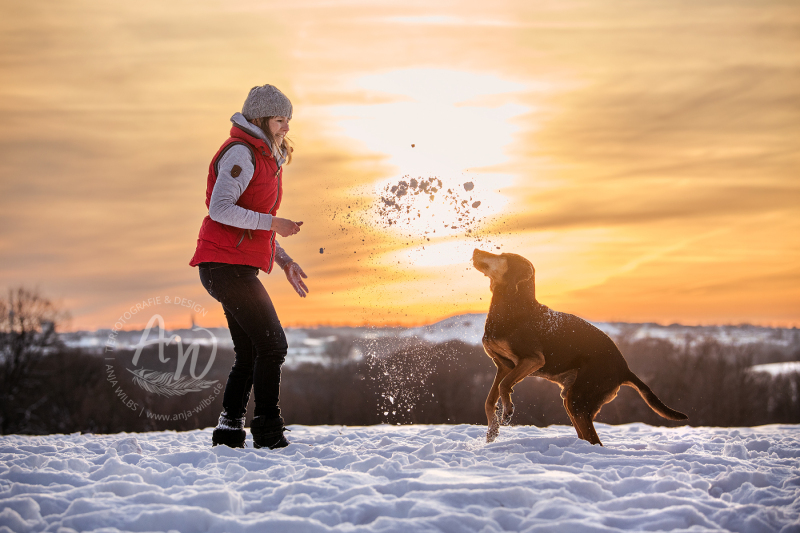 ANJA-WILBS_Tierfotografie_Schneebild_34