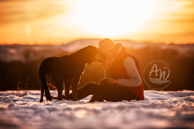 ANJA-WILBS_Tierfotografie_Schneebild_35