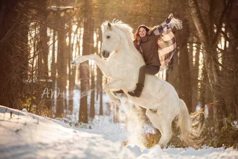 ANJA-WILBS_Tierfotografie_Schneebild_47